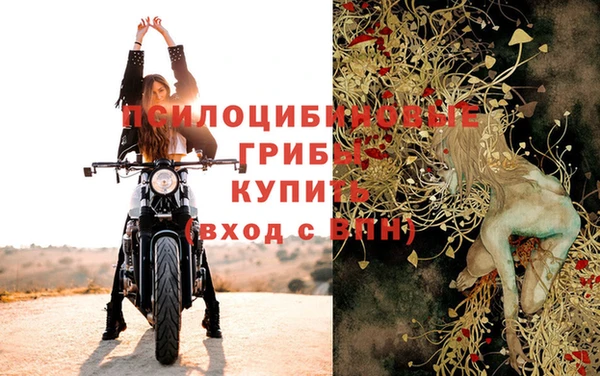 PSILOCYBIN Остров